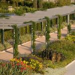 McGovern Centennial Gardens