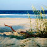 Tybee Island