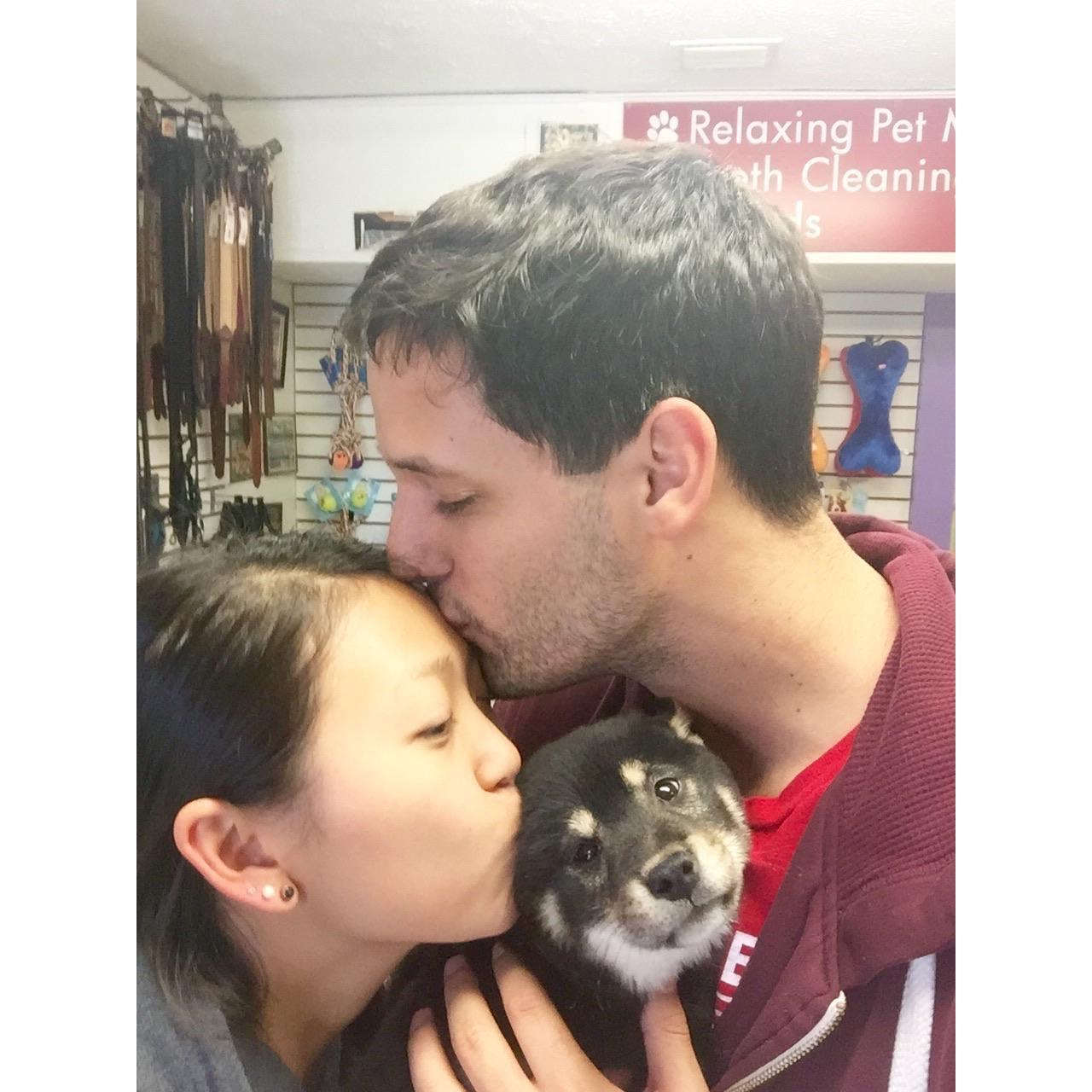 The day we got little Miso