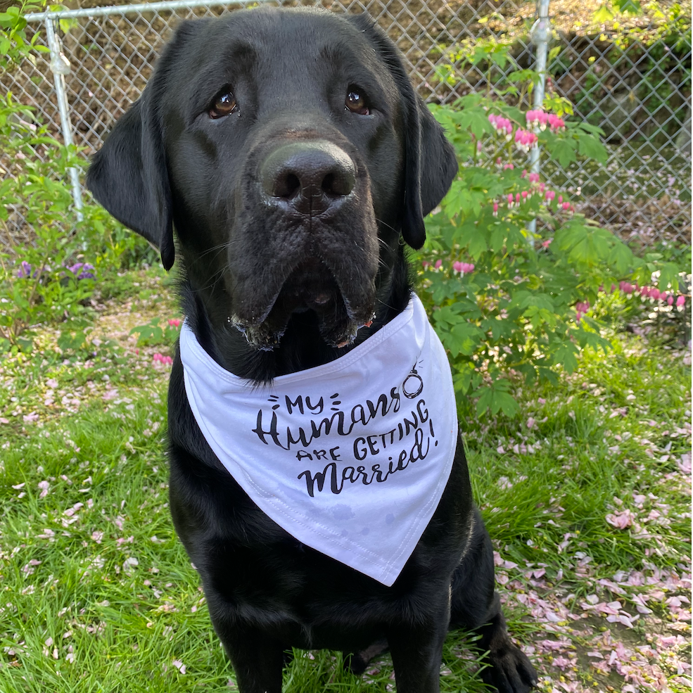 Shea, the Best Boy