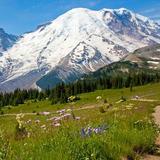 Mount Rainier National Park