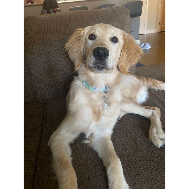 Our Foster Honey