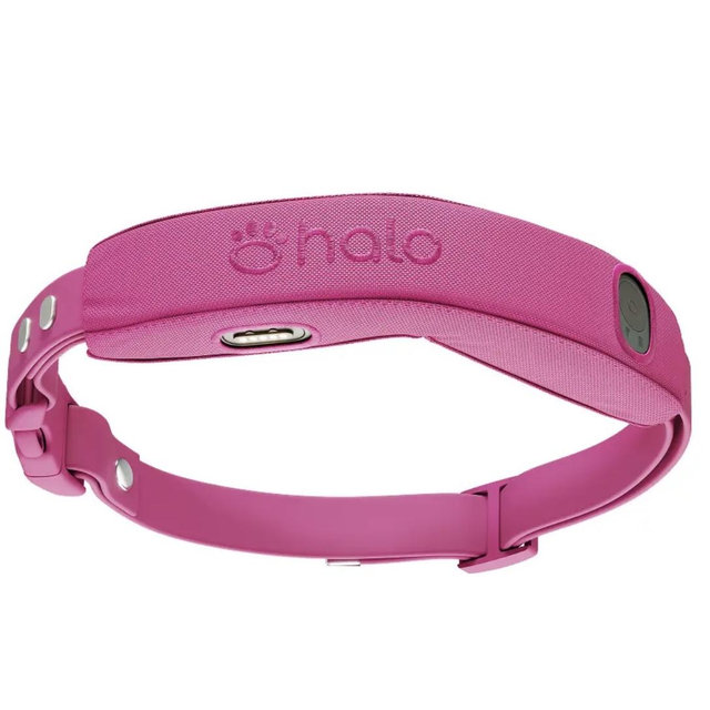 GPS Dog Fences | Halo Collar (Pink) For Whiskey 🐶