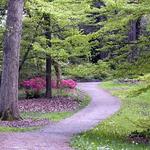 Arboretum Loop Trail