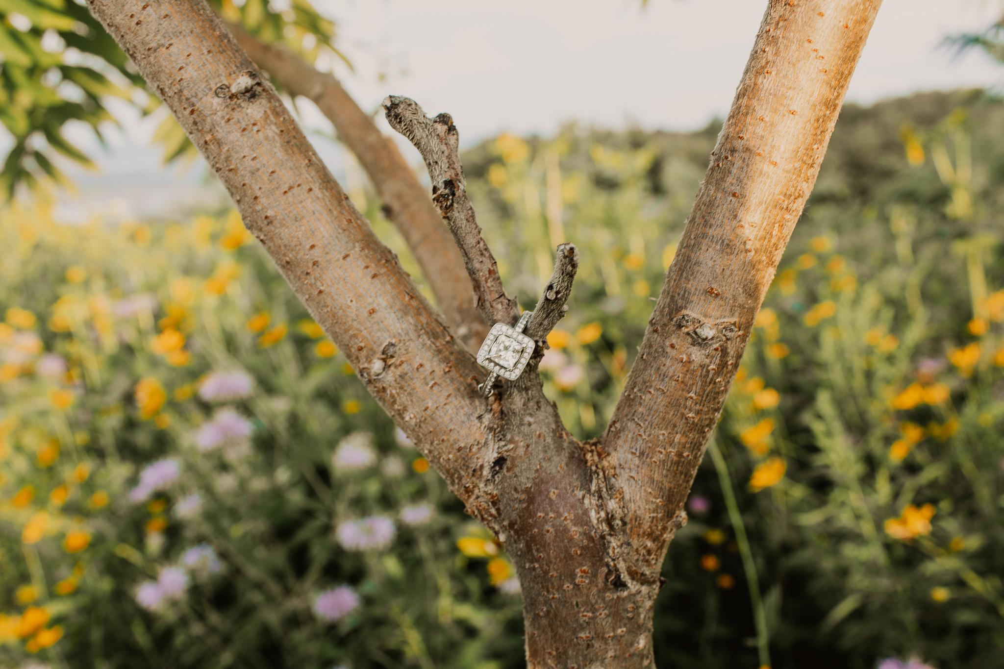 The Wedding Website of Olivia Larson and Seth Maxinoski