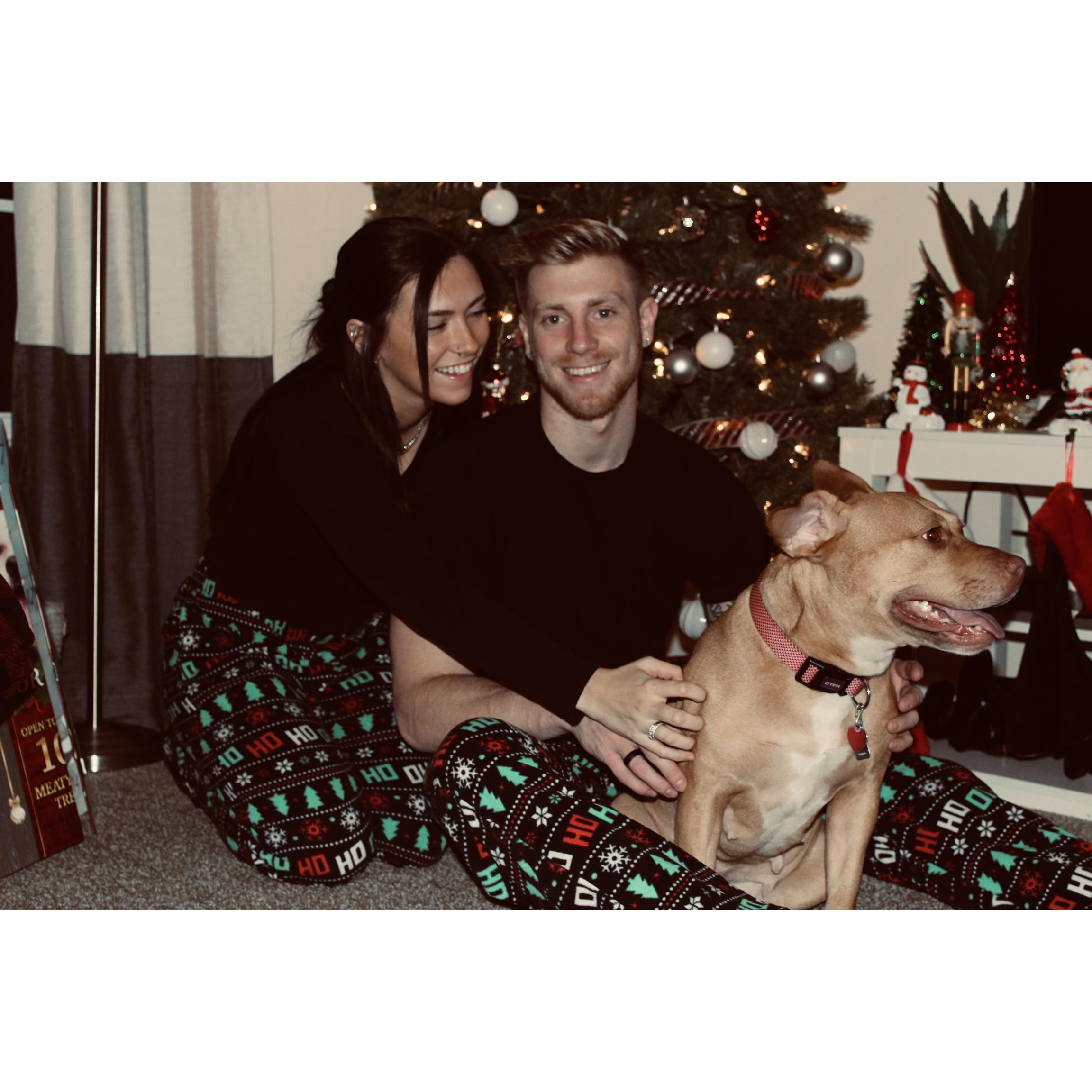 Our first Christmas with Loka!
