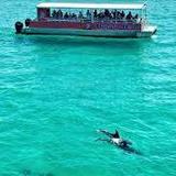 The Fun Boats Dolphin Cruises