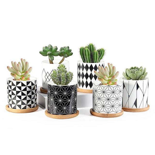 Succulent Pots, ZOUTOG 3 inch Ceramic Mini Succulent Planter Pot, Geometric Pattern Round Small Flower Pots with Drainage and Bamboo Tray, Pack of 6 - Plants Not Included