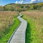 Boardwalk Trail - Appalachian
