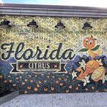 Disney Springs