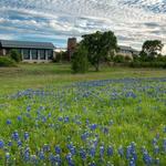 Lady Bird Johnson Wildflower Center