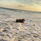 Saint Lucie Inlet Preserve State Park