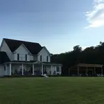 Castle Vineyards