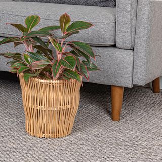 Small Willow Waste Basket