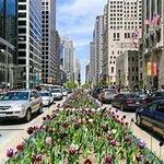 The Magnificent Mile Visitor Center