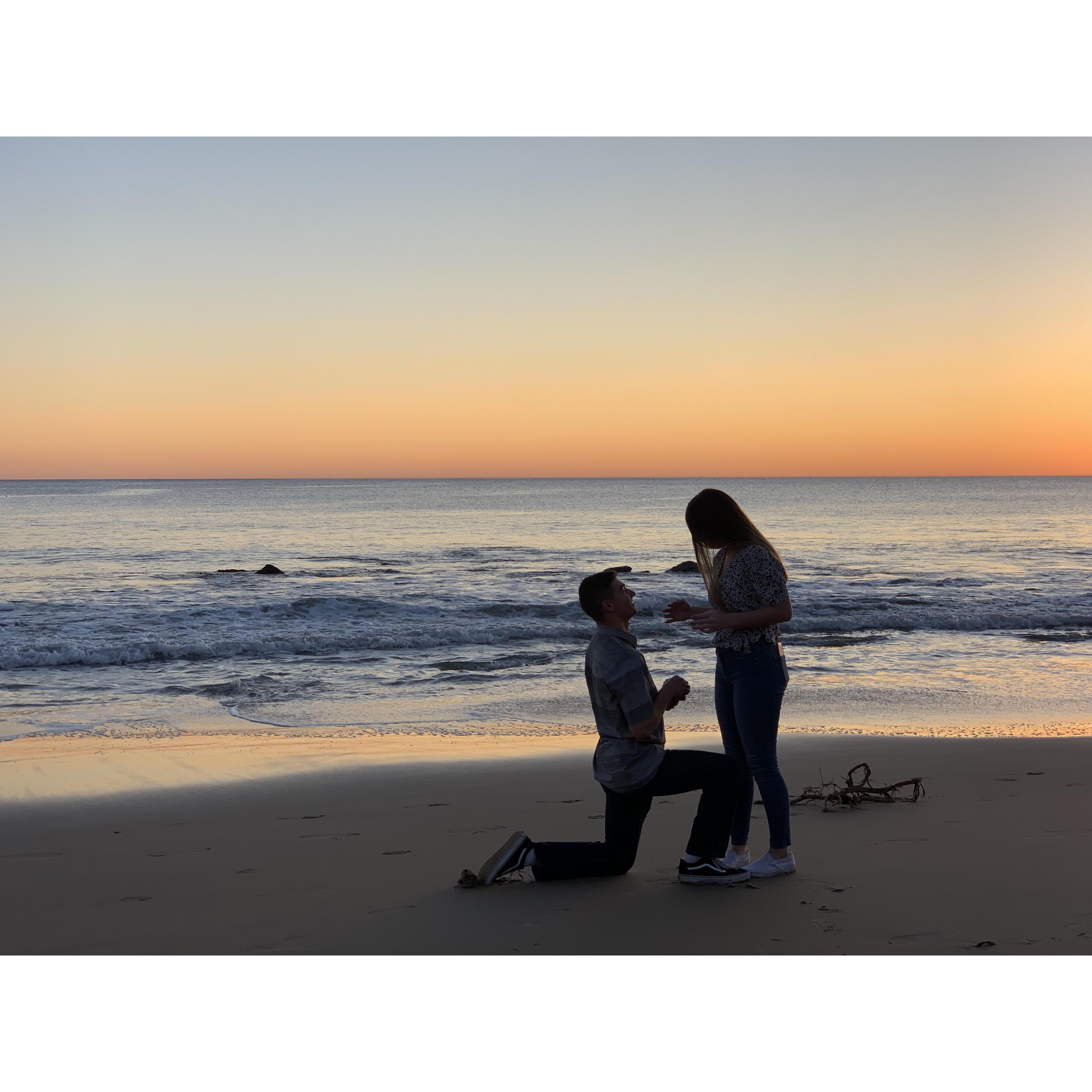 The day Avalon said "YES!"