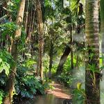 Fairchild Tropical Botanic Garden
