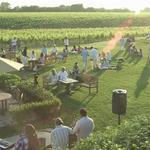 The Wine Stand at Wölffer Estate