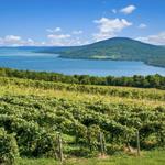 Cayuga Lake Wine Trail