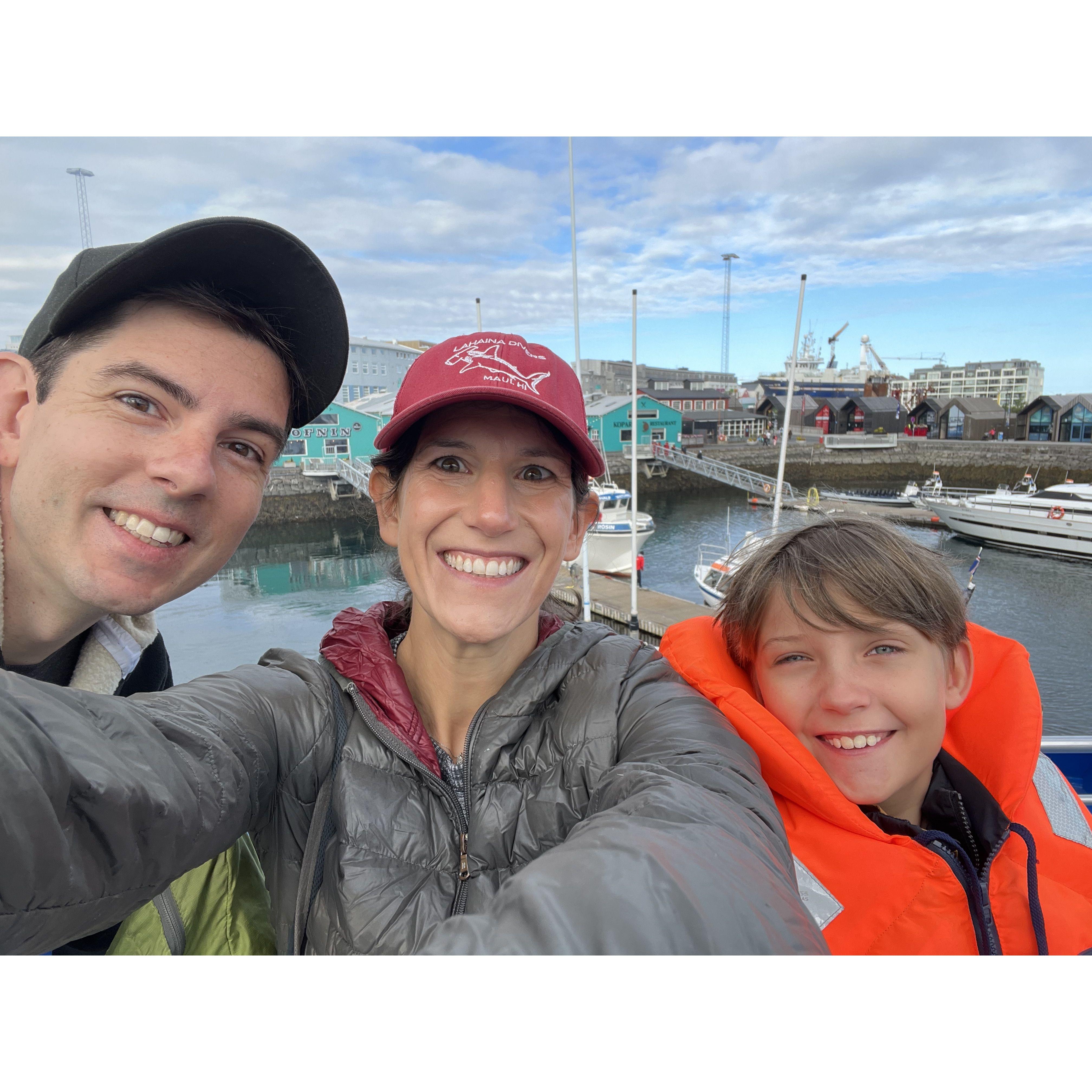 Whale watching in Iceland