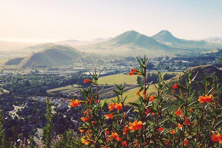 The Wedding Website of Rachelle Moser and Michael Ursu