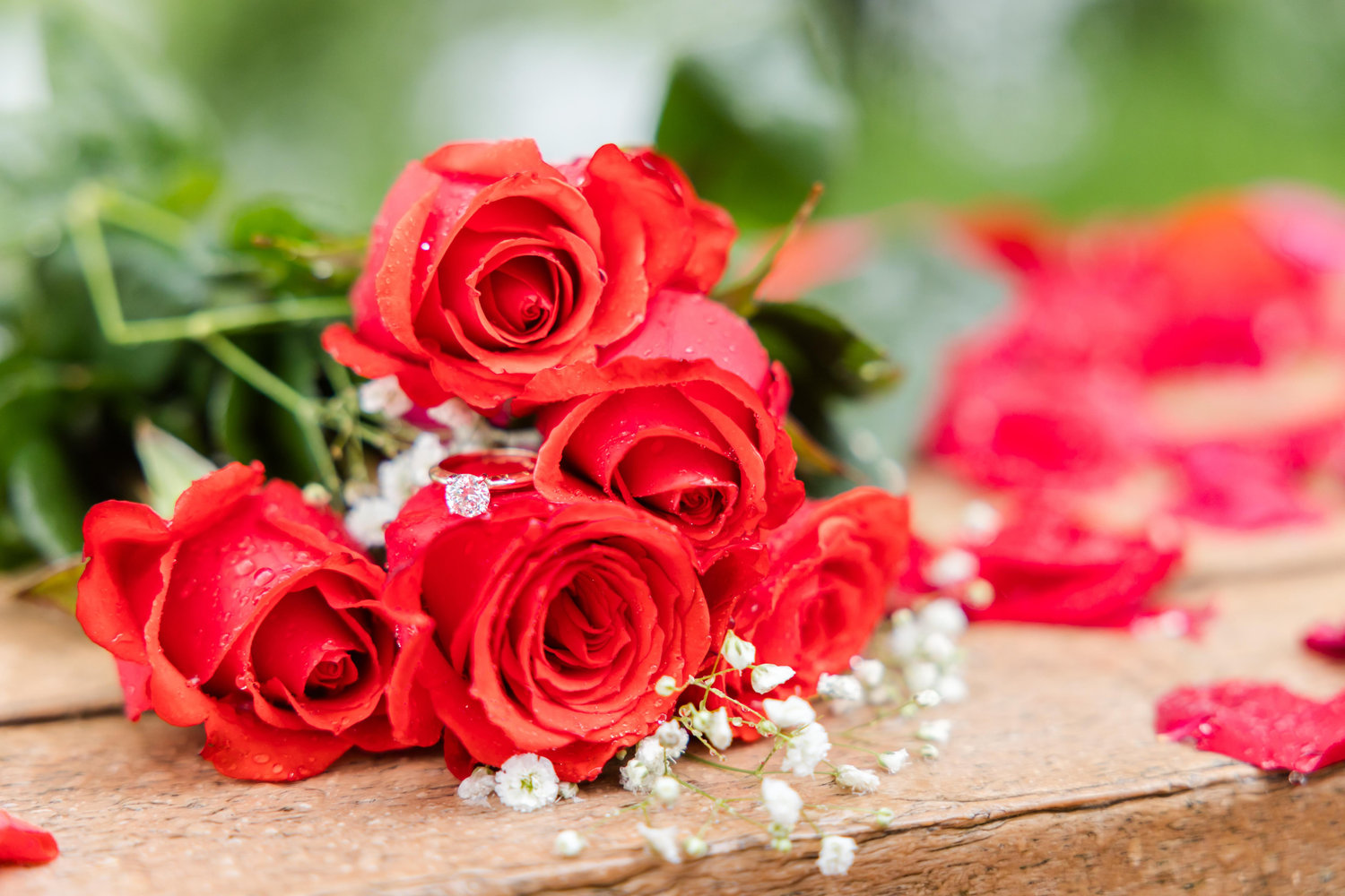 The Wedding Website of Eliza Foster and Daniel Miller