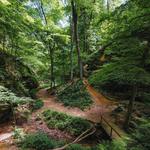 Wildcat Den State Park