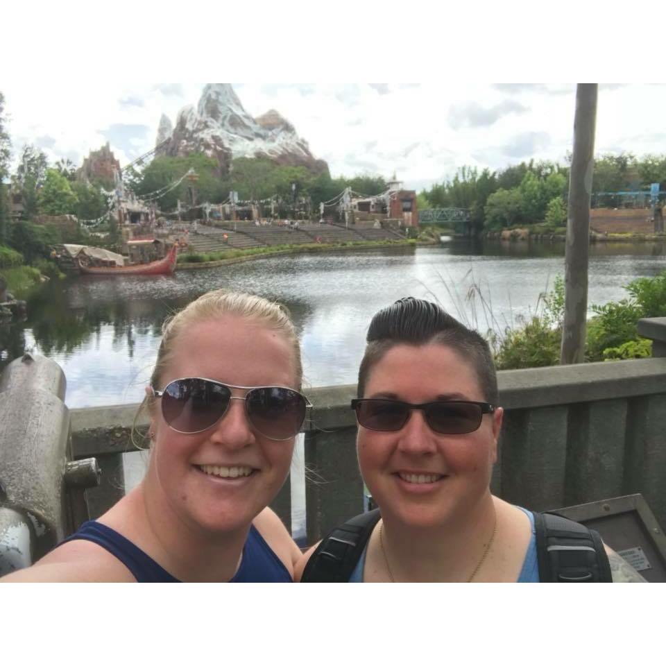 Animal Kingdom 2018