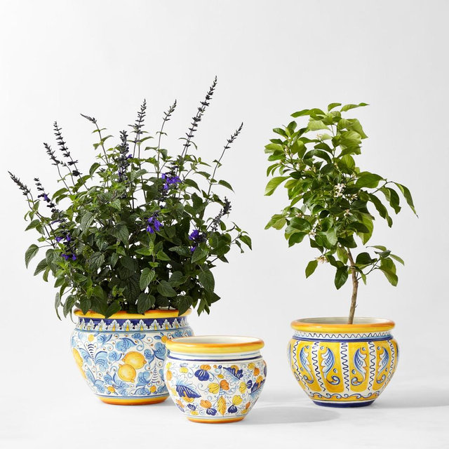 Italian Hand-Painted Planter Collection, Set of 3