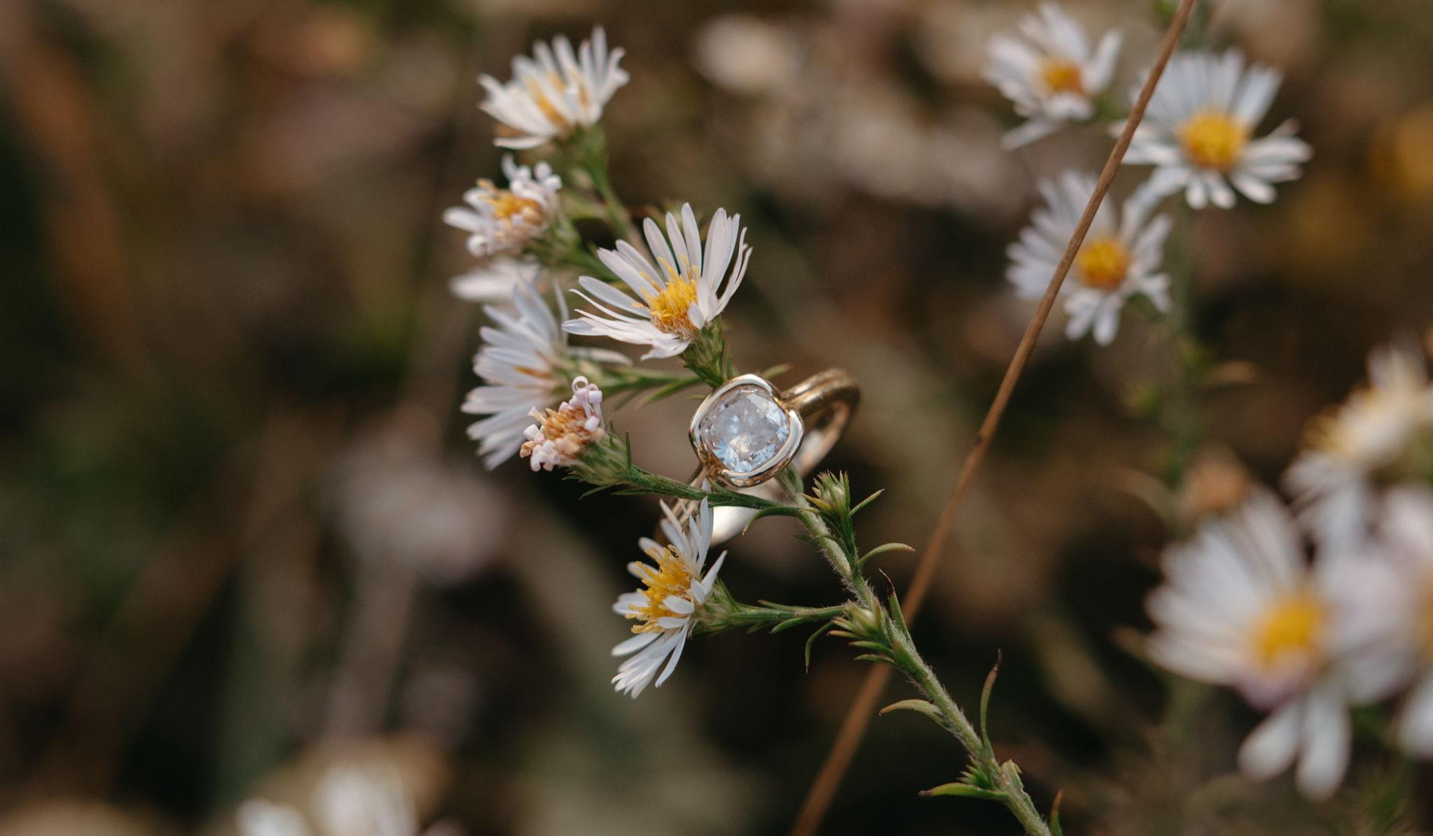 Hero Slideshow Image 4