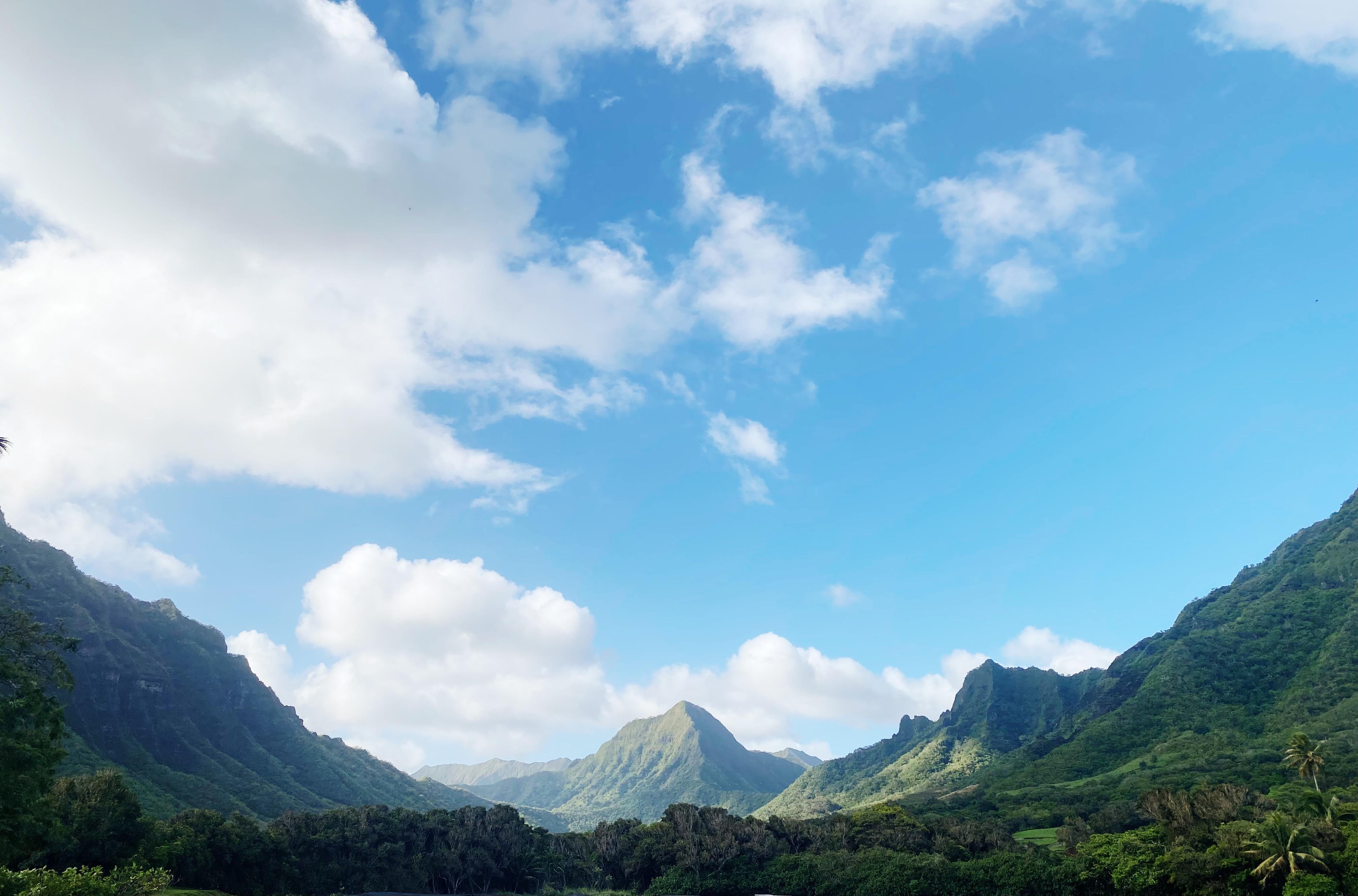 The Wedding Website of Tiarra Evans and Joseph Kaai