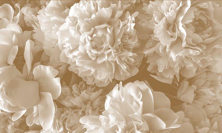 The Wedding Website of Philip Joey Noguera and Krisette Nunag