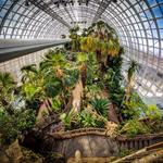 Myriad Botanical Gardens