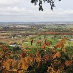 Mount Nemo Conservation Area