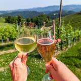 Wine tourism in Slovenia