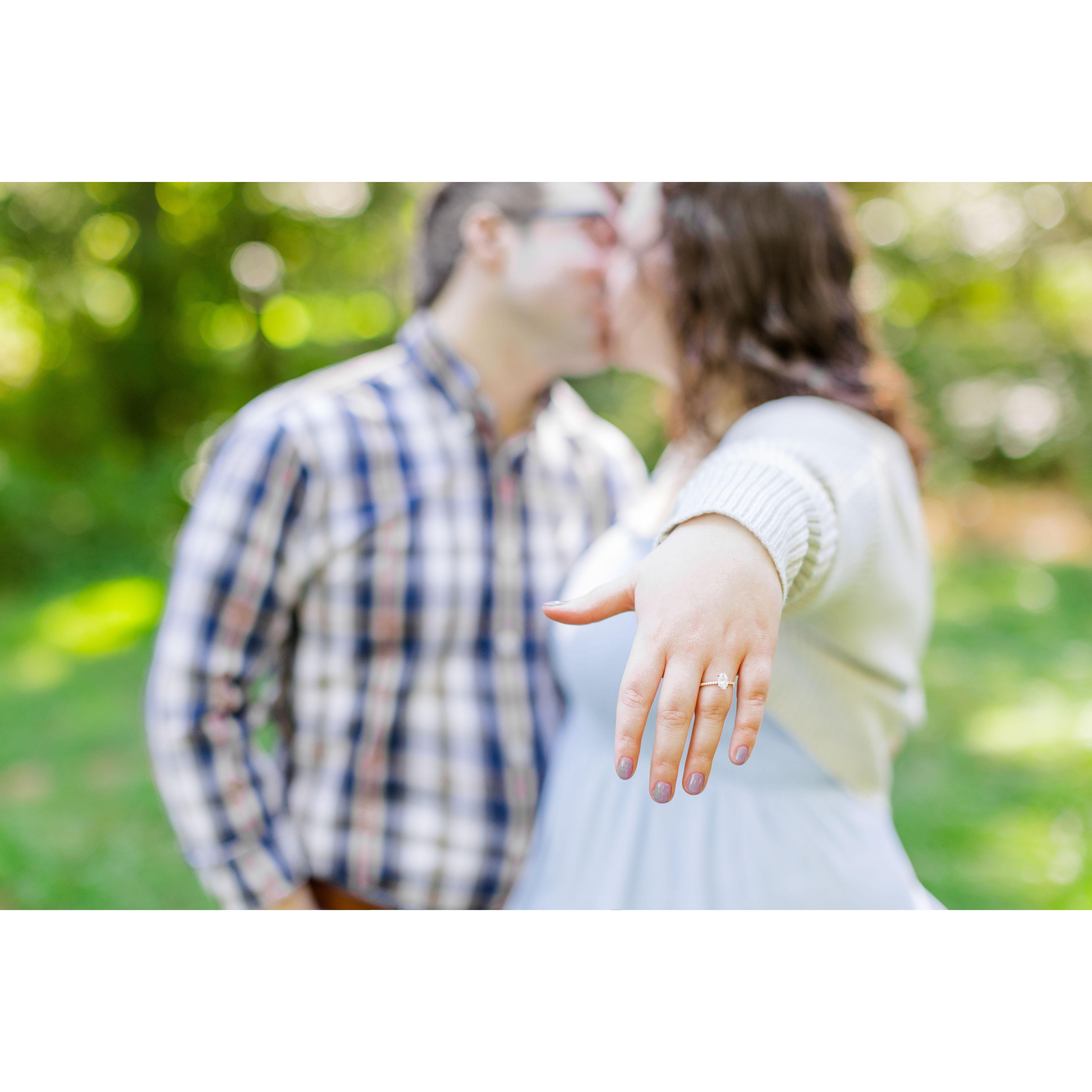 Engagement pictures at Carter Overlook in Charlottesville, VA!