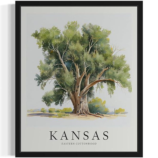 Kansas Eastern Cottonwood Tree Poster Wall Art Painting, US State Print Artwork, Vintage Art for Bedroom Bathroom Living Room Decor 83 (Kansas Eastern Cottonwood, 16 x 20 inches, Black Frame)