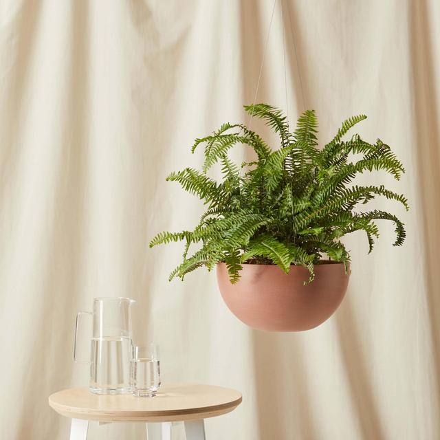 Ecopots Hanging Pot