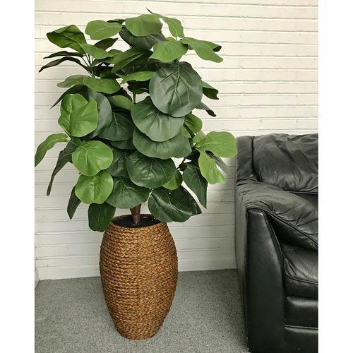 Fiddle-Leaf Fig Tree in a Rope Basket Silk Plant