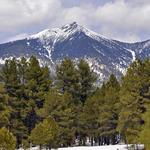 Humphrey's Peak