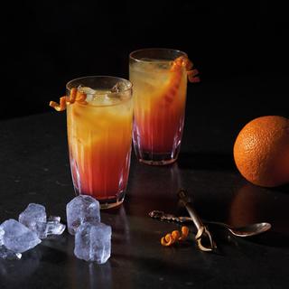 Mara Highball Glass, Set of 2