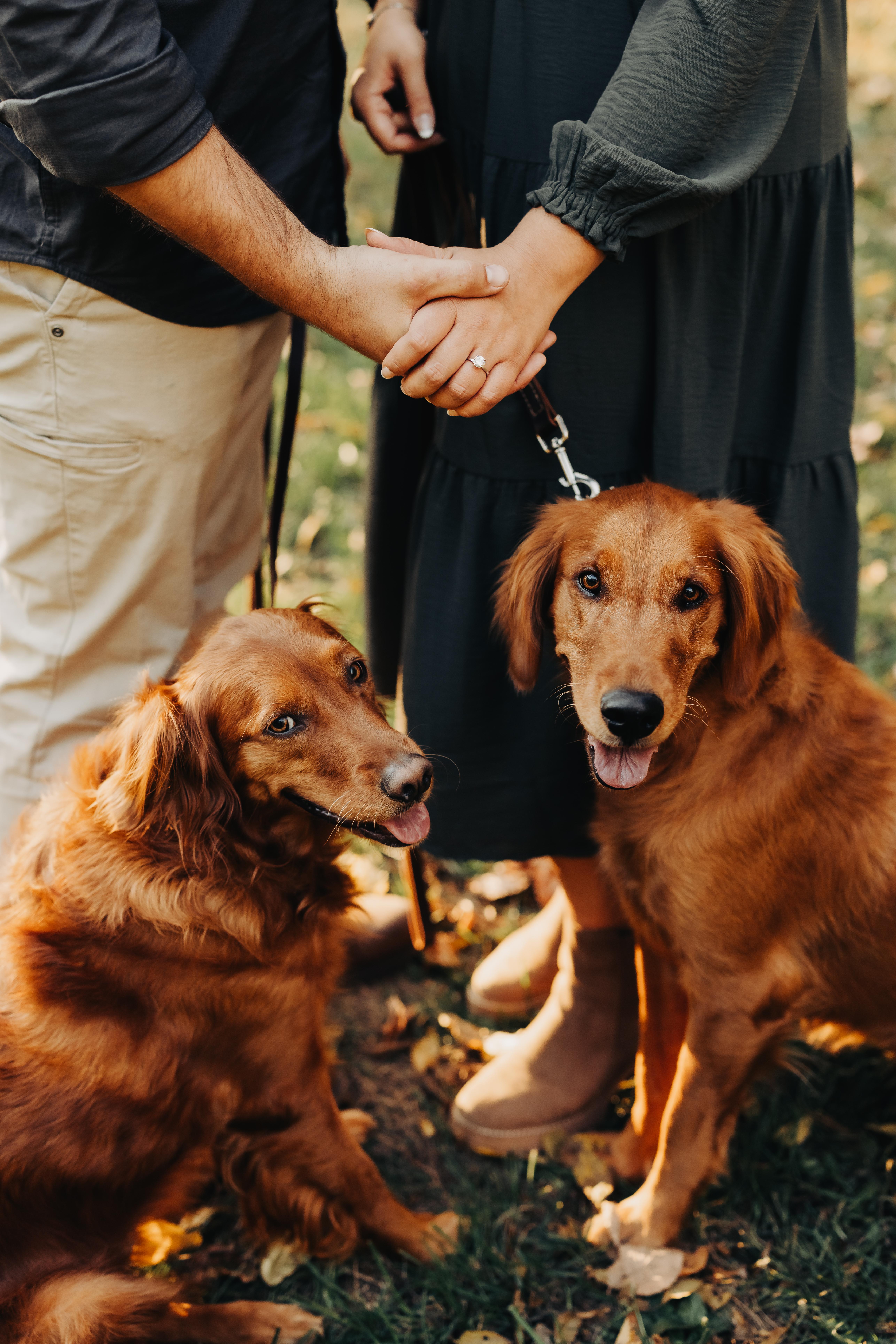 The Wedding Website of Taylor Jaeckels and Lucas Schultz