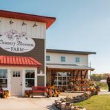 Country Blossom Farm | Cider House, Store, Bakery & Outdoor Activities