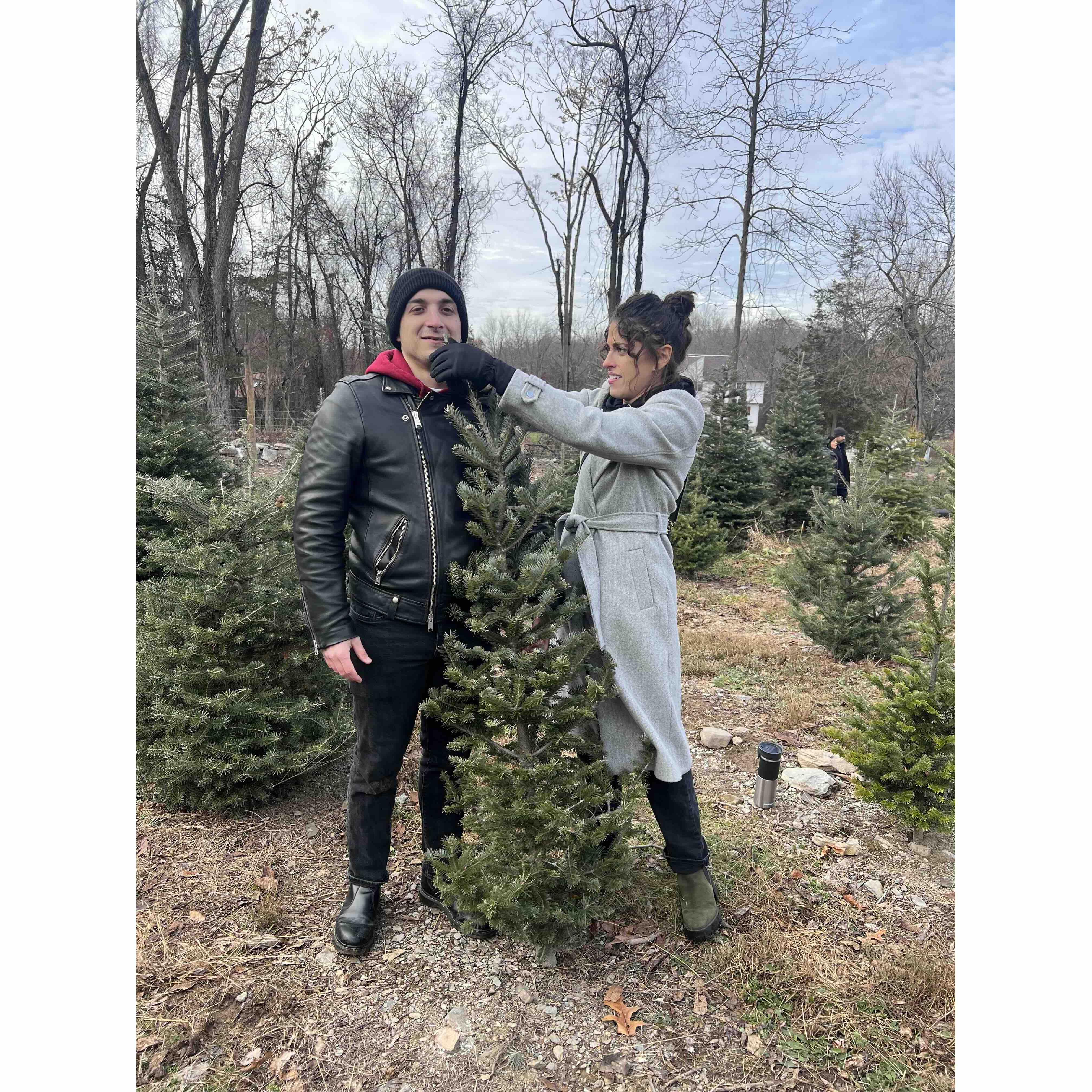 Picking noses and Christmas trees at the same time