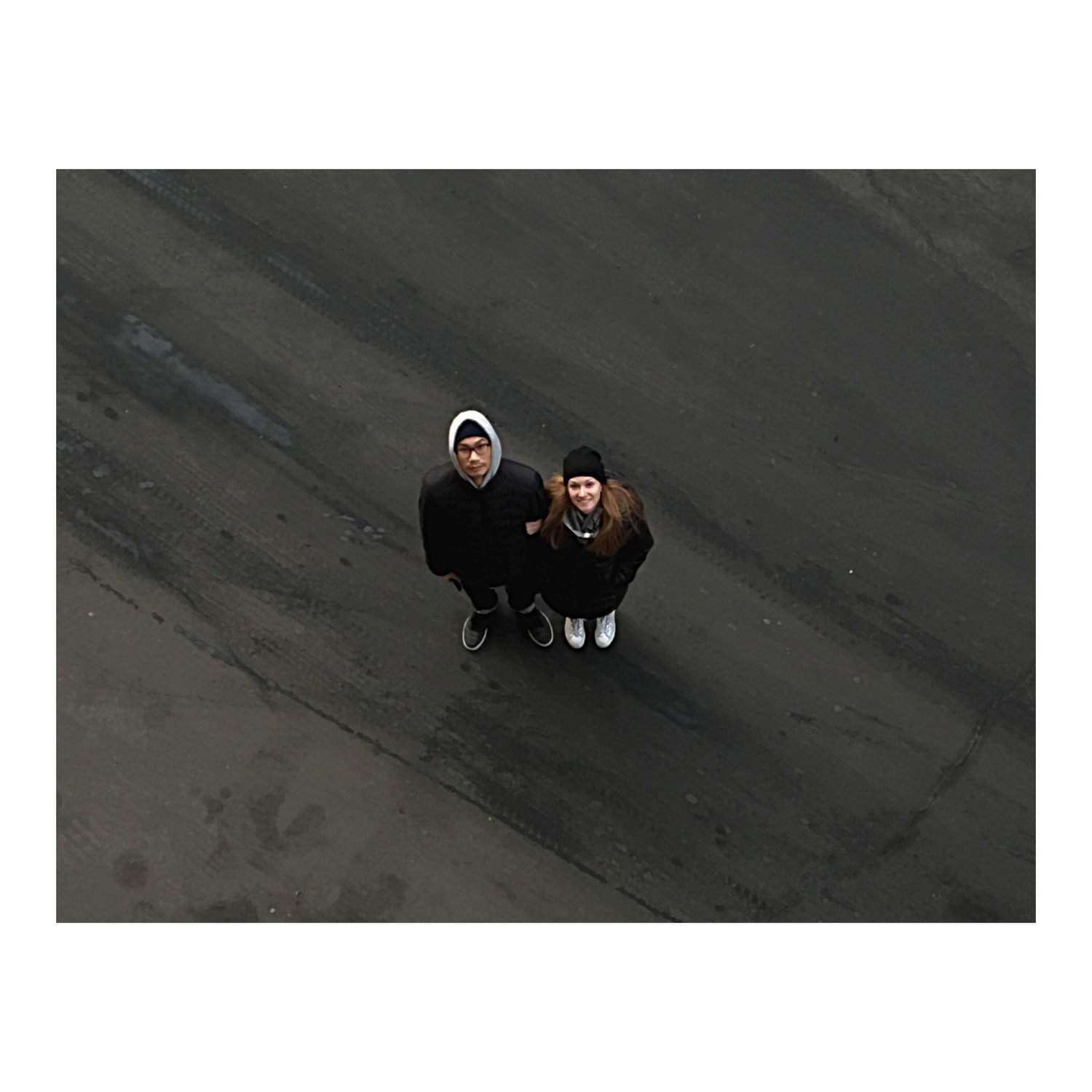 Two cats.