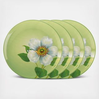 Colorwave Accent Plate, Set of 4