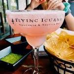 Flying Iguana Taqueria & Tequila Bar
