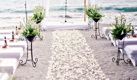 The Wedding Website of Myrlande Pamphile and Christopher Marini