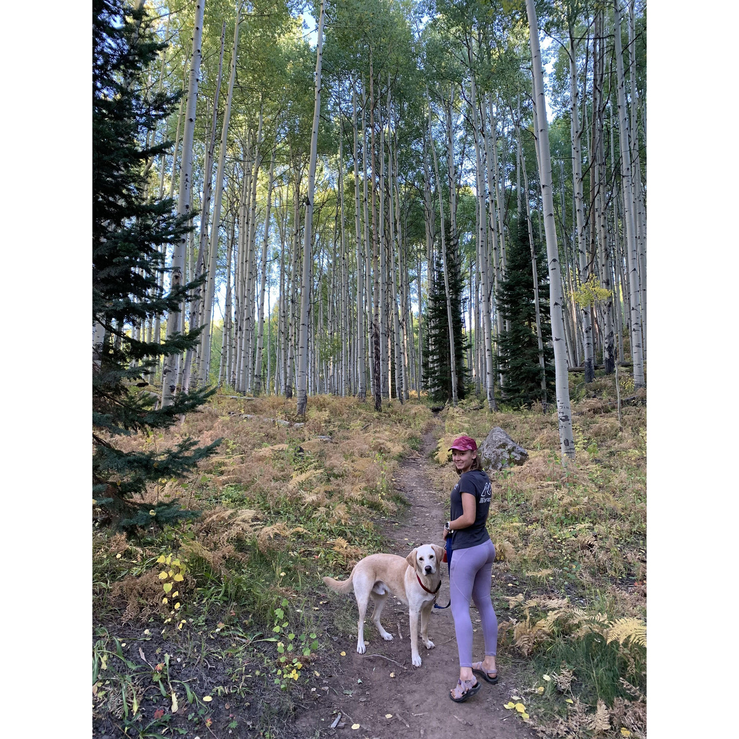 Crested Butte Leaf Peepin - September 2021
