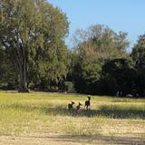 Rancho San Antonio County Park & Open Space Preserve